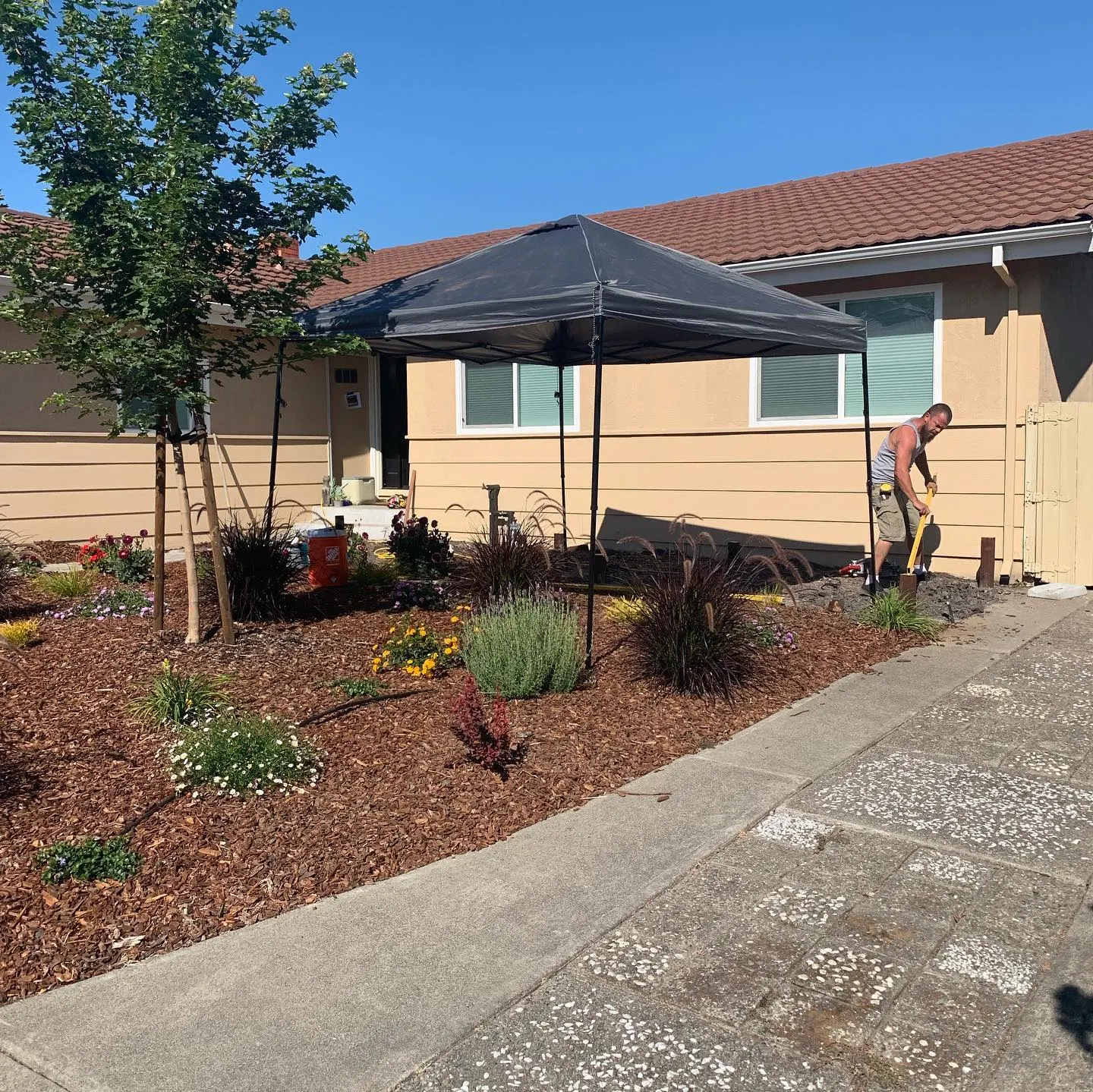 Deck project in Petaluma by Soulié Construction — photo 5